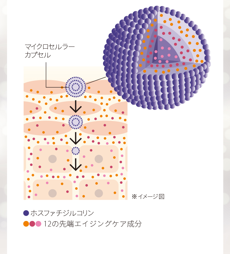 ※イメージ図